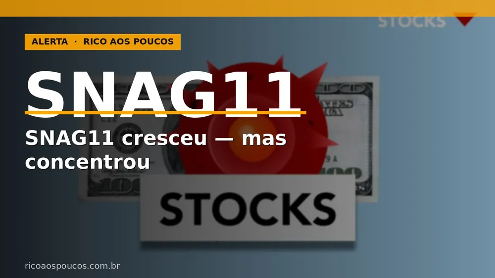 SNAG11: a 5ª emissão dobrou o patrimônio, mas concentrou 40% em uma empresa só