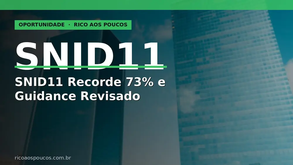 SNID11 bate recorde de 73% e revisa guidance para cima — o que muda para o cotista