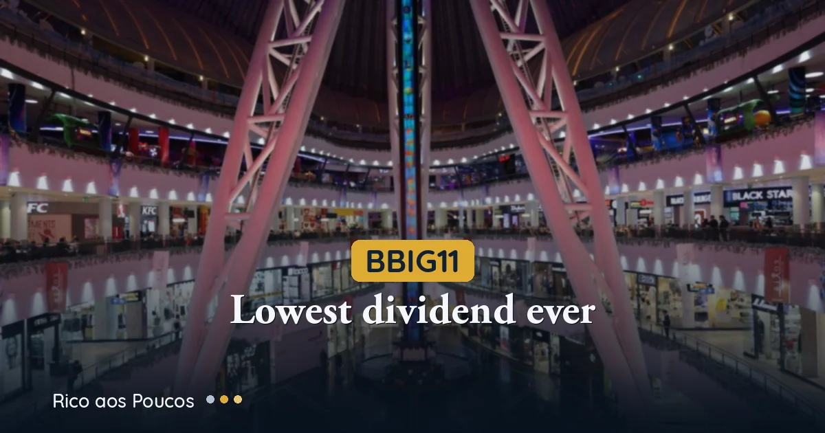 BBIG11 drops 4.4%: fund announces lowest dividend in history